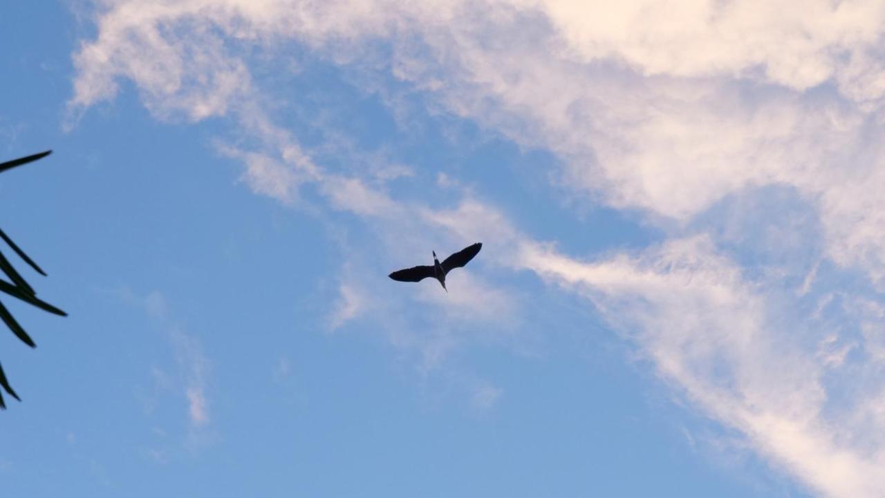 Heron'S Path I Ανάληψη Εξωτερικό φωτογραφία